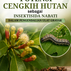 POTENSI CENGKIH HUTAN SEBAGAI INSEKTISIDA NABATI DALAM  PENGENDALIAN ULAT GRAYAK